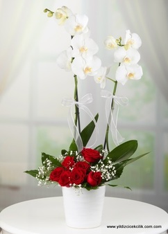 seramikte orkide ve kırmızı gül